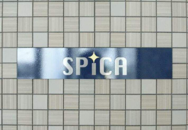 【その他】 | ＳＰＩＣＡ | SPICA