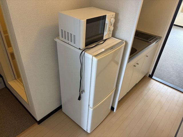 レオネクストセレーネのその他