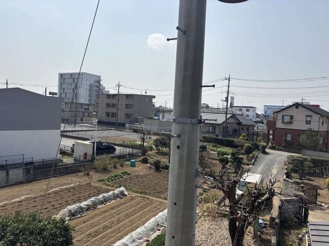 レオネクストセレーネのその他
