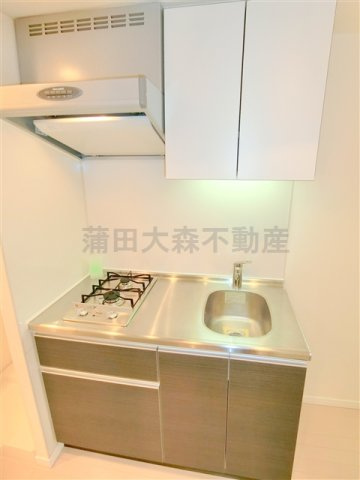 プラウドフラット蒲田Ⅱのキッチン|2口ガスシステムキッチン　まな板が置ける調理スペースのある大きめなキッチン