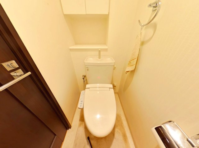 アルファステイツ倉敷駅前Ⅱのトイレ|清潔感があり、インテリアスペースもあるトイレです。