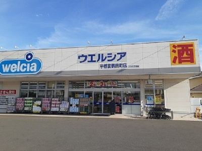 【周辺】 | ＬＡＰＹＳⅢ | ウエルシア　宇都宮鶴田町店まで400m