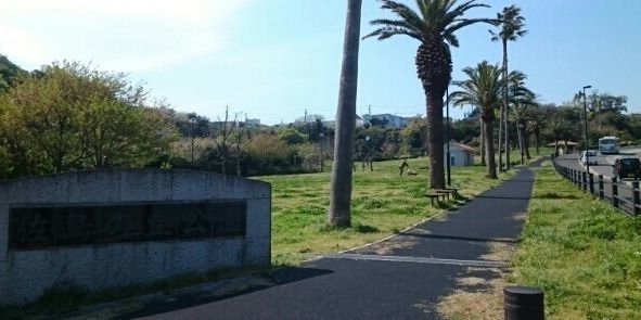 マリソル佐島の周辺|佐島の丘公園まで417m