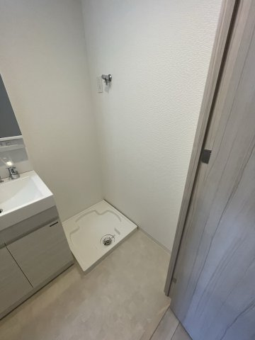 S-RESIDENCE難波大国町Deuxの洗面所