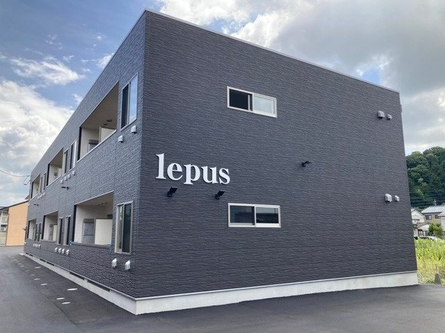 lepus