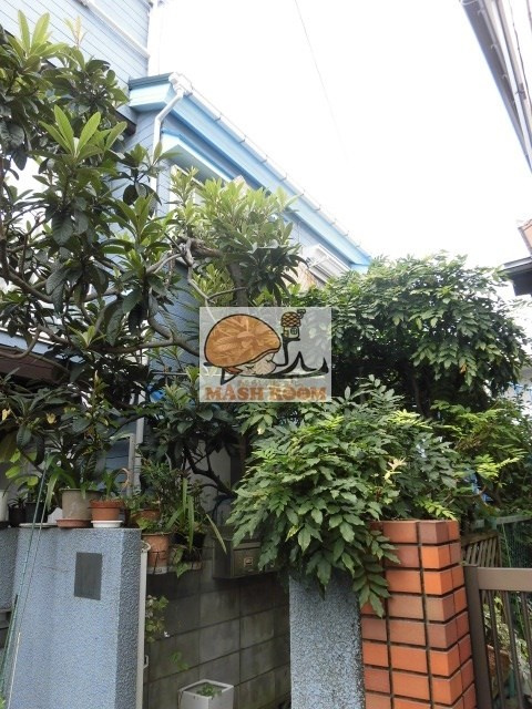 コーポサウスヒル