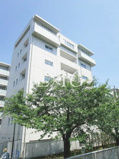 Ｈａｕｓ　Ｆｒｉｅｄｅの画像