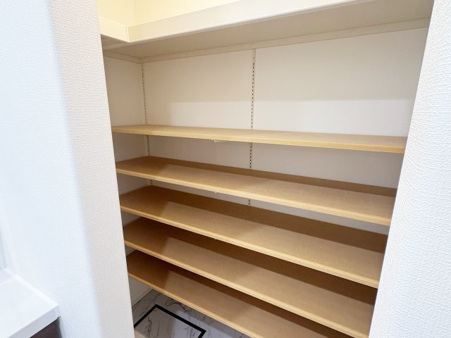 島崎町　新築一戸建ての収納