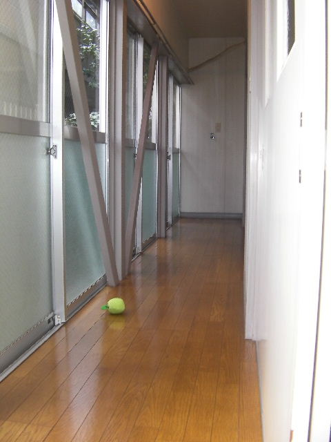 メゾンあづみ野のバルコニー