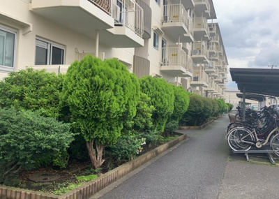 【中庭】 | ハイマート厚木（Ａ号棟） | 中庭（パティオ）とは、一つの建築物の内部に設けられた、壁などで囲われている庭のことを指します。コの字型、ロの字型が主流ですが、L字型の中庭もあります。最近では、インテリア性の高さからも人気があります。