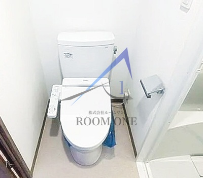 ライジングプレイス綾瀬三番館のトイレ|トイレです。