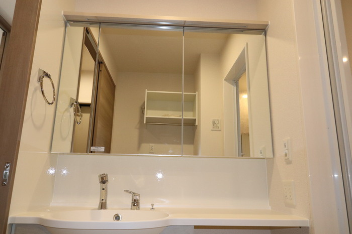 D-ROOM須屋（トリシア）の独立洗面台
