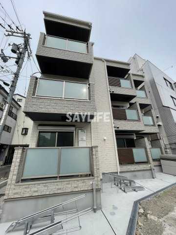 F asecia Sylviteの外観
