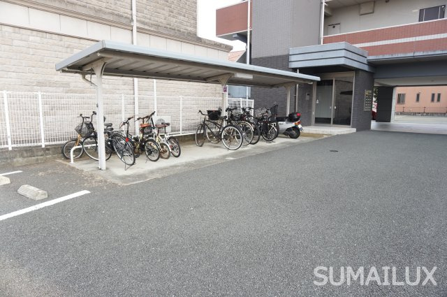 熊本市中央区琴平２丁目の賃貸マンションのその他