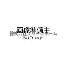 武蔵野市境５丁目のアパートの展望