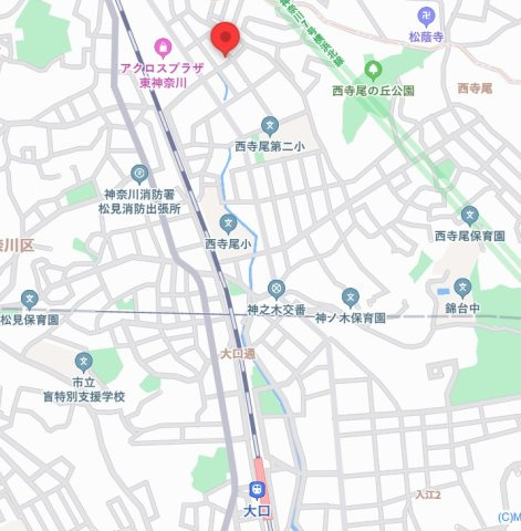 アリビオ・セレーノ横浜西寺尾の地図