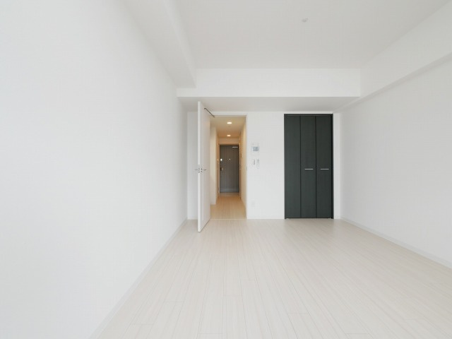 大阪市浪速区恵美須西２丁目の賃貸マンションの居間・リビング