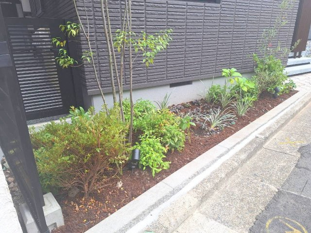 ベルティオン東新宿のその他共用部分|★植栽★