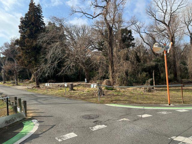 流山市駒木の売地