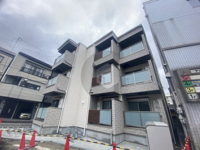 F asecia Sylviteの外観