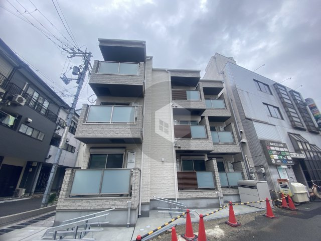 F asecia Sylviteの外観