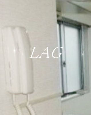 【セキュリティ】 | ウイステリア | インターフォンです。