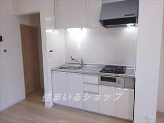 安芸高田市吉田町山手のアパートのキッチン|浄水器一体型シャワー水栓あり