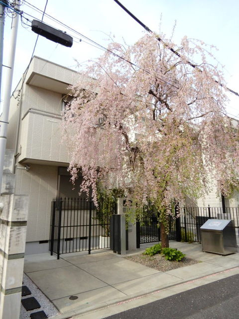 Ｒ　ＧＡＲＤＥＮ　ＪＩＹＵＧＡＯＫＡの外観|女性単身限定マンション　