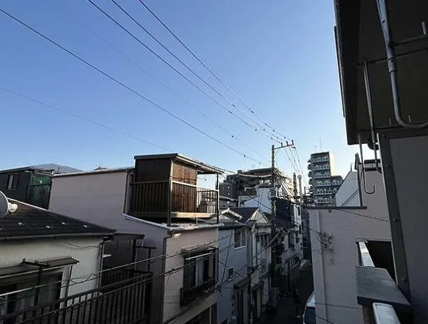梨苑マンションの展望