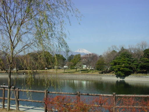 プリベールＴの周辺|門池公園まで1,200ｍ