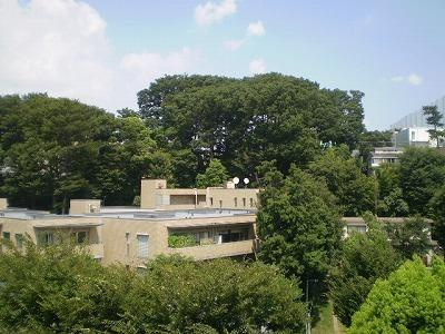 世田谷区玉川２丁目の賃貸マンションの展望