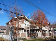 ＯＭＡ永井の画像