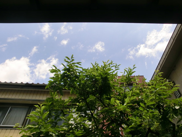 リバーハイツⅡの展望|バルコニーからの景色です。