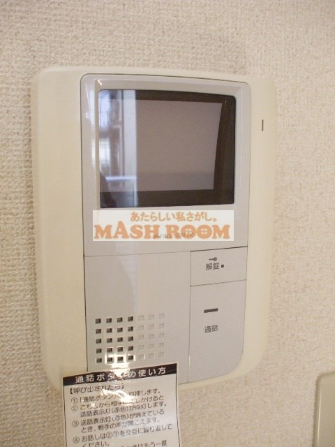 ステラアレアのセキュリティ