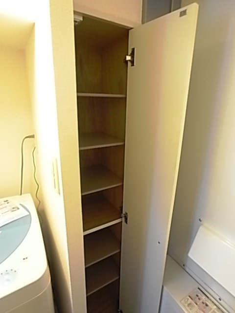レオパレスTRYの収納