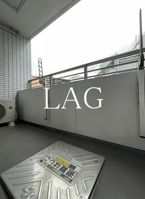 【バルコニー】 | パークウェル秋葉原 | バルコニーです。