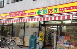 レピュア押上レジデンスの周辺