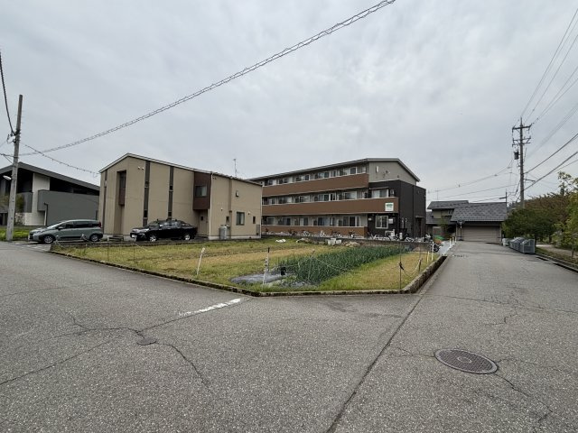 金沢市田上さくら