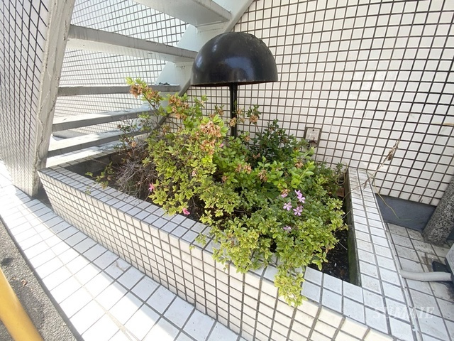 プラザ・ドゥ・モーリス　のその他|植栽です☆