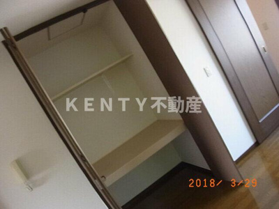 【収納】 | 木の実 | 小物を収納するのに便利です