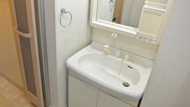 グランシャリオ船橋の洗面所|シャンプードレッサー
