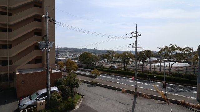 シャルマンヴィオラの展望