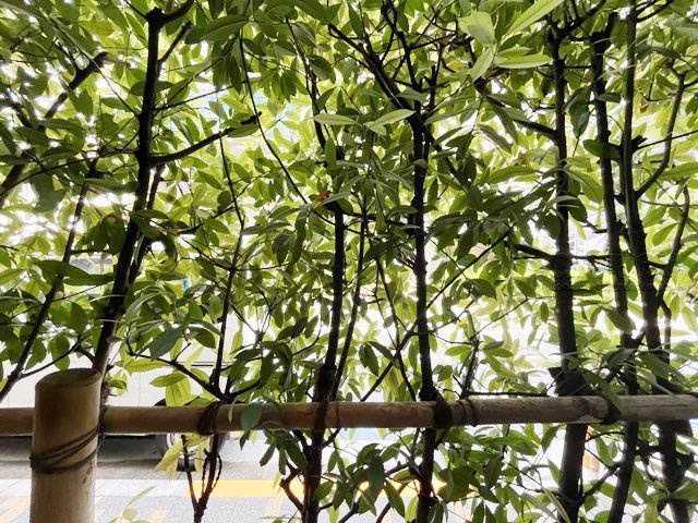 【展望】 | セーシェル恵比寿 | バルコニーからの景色です～即日のご見学可能～　お問合せはお気軽にどうぞ。
