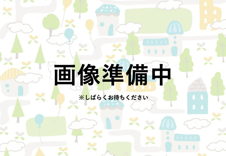 越谷市大字大泊 新築分譲住宅の外観