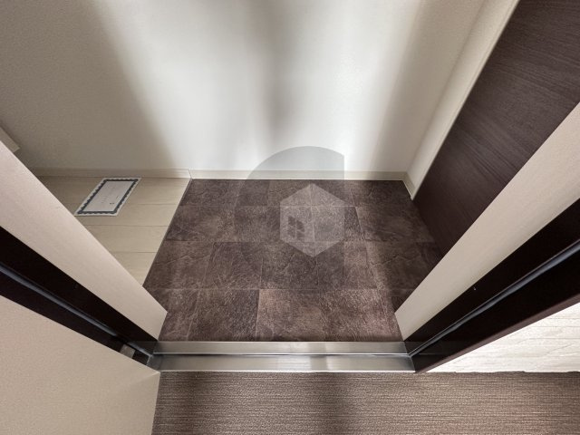 F asecia ディオーネ徳庵の玄関