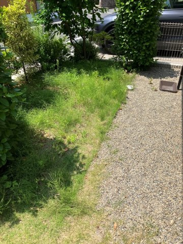 谷原戸建の庭