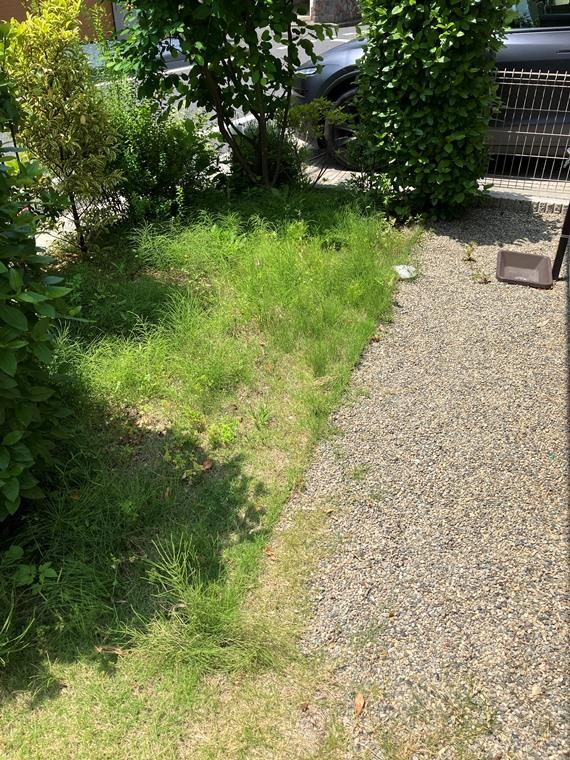 谷原戸建の庭