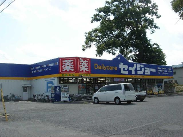 ルミエール　LUMIEREの周辺|デイリーケアセイジョー大宮七里店まで296ｍ