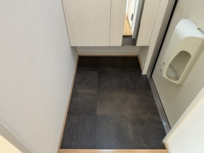 ルーシッド新保の玄関
