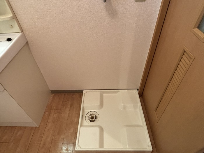 サンフラワー